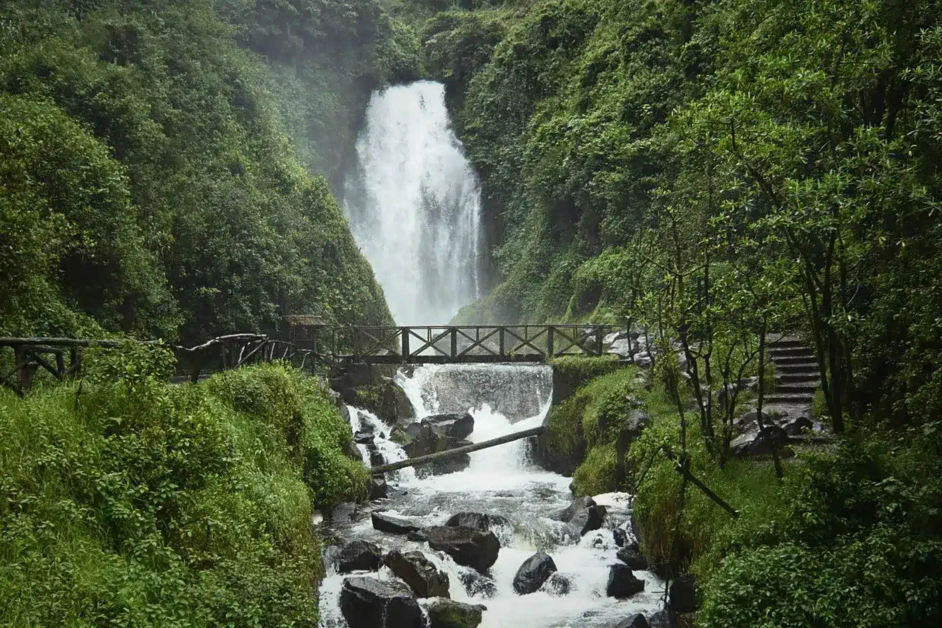 Vistas de una cascada y un puente entre la selva
