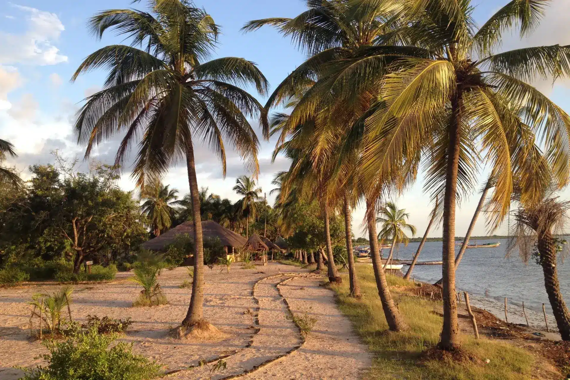 Playas de Gambia con palmeras y barcas
