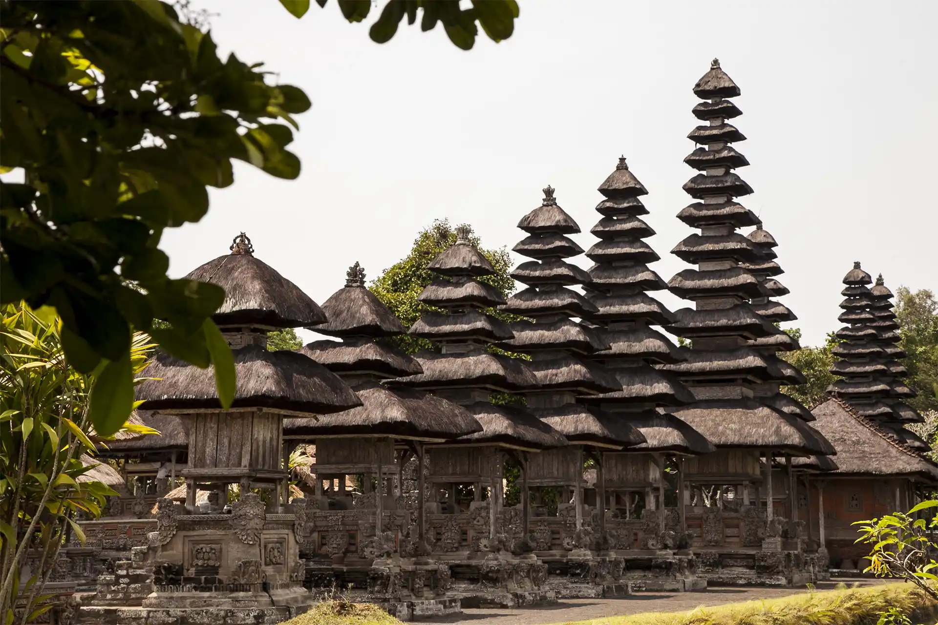 Conjunto de Templos rodeados de vegetación en Indonesia