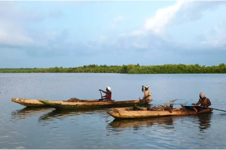 Pescadores en barcas en el río de Gambia que se ven en un viaje a Gambia y Senegal