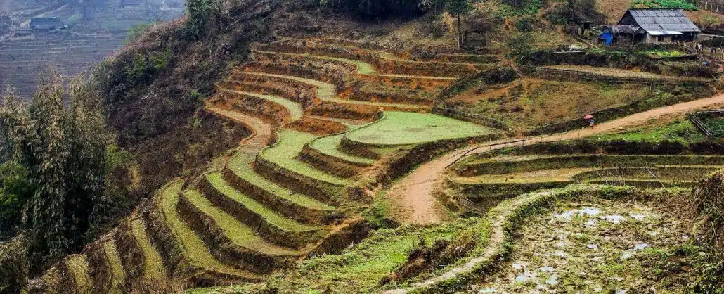 Paisaje rural en Vietnam