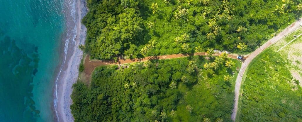 Vista aérea de un camino que atraviesa la selva hasta el mar