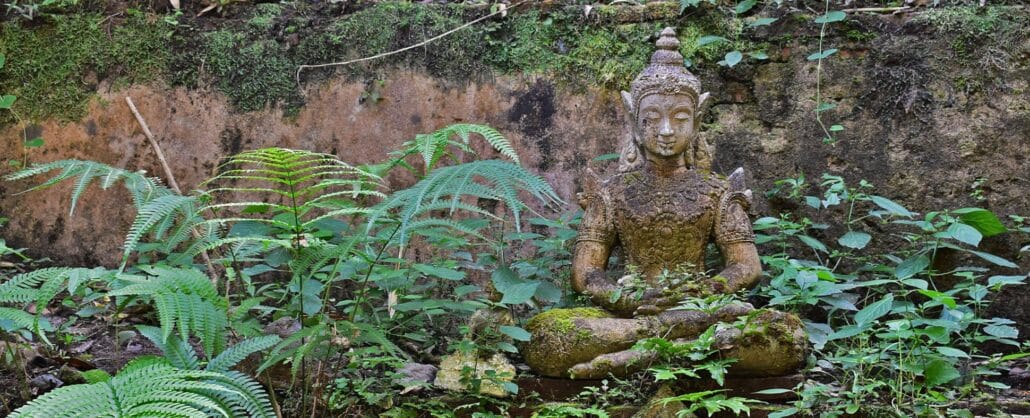 Estatua de Buda entre los helechos