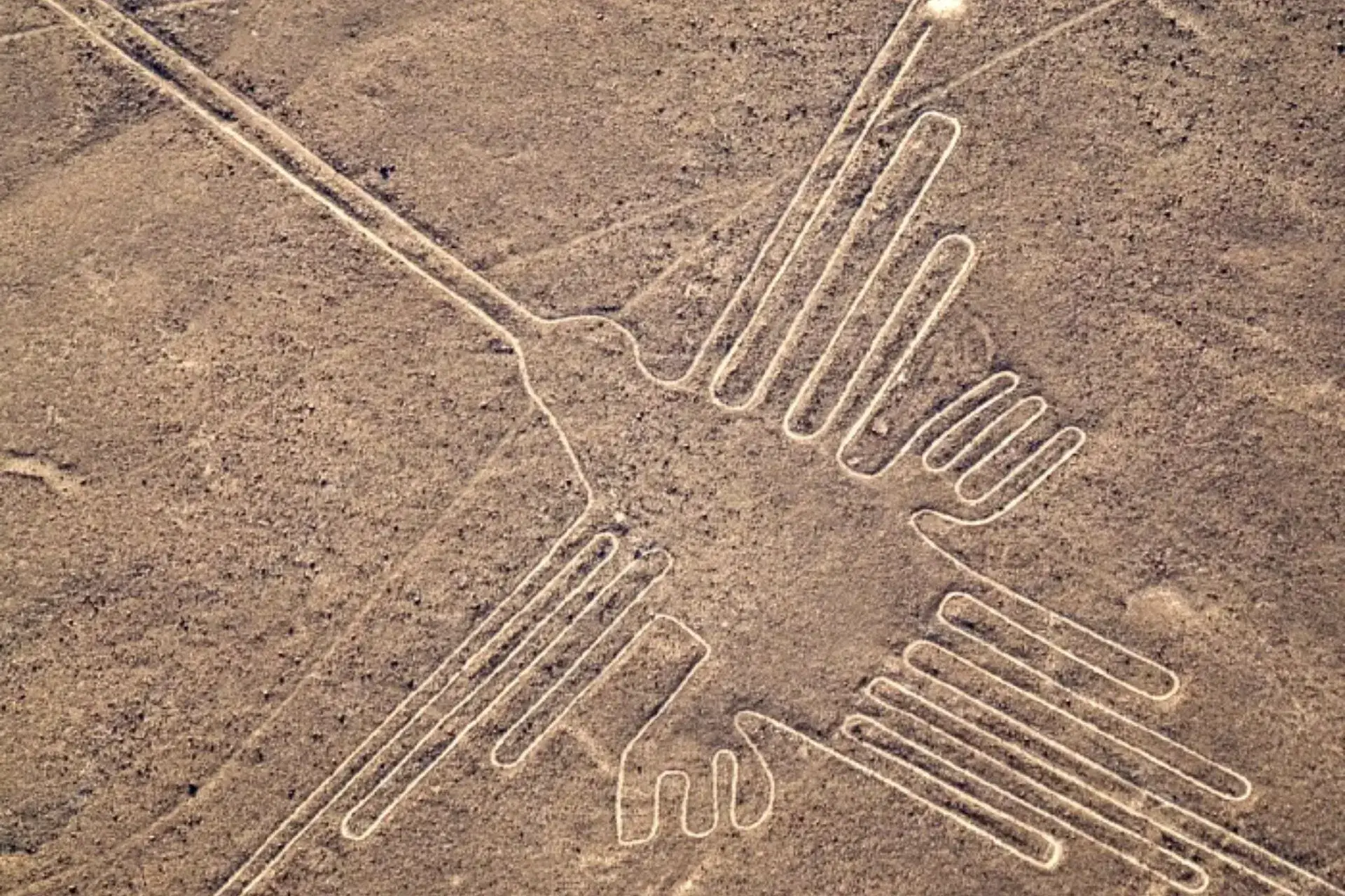 Vista aérea de las líneas de Nazca con una forma similar a un pájaro y fondo marrón