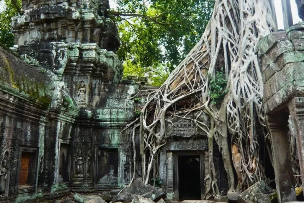 Ruinas de templo con raíces de árboles cubriéndolas