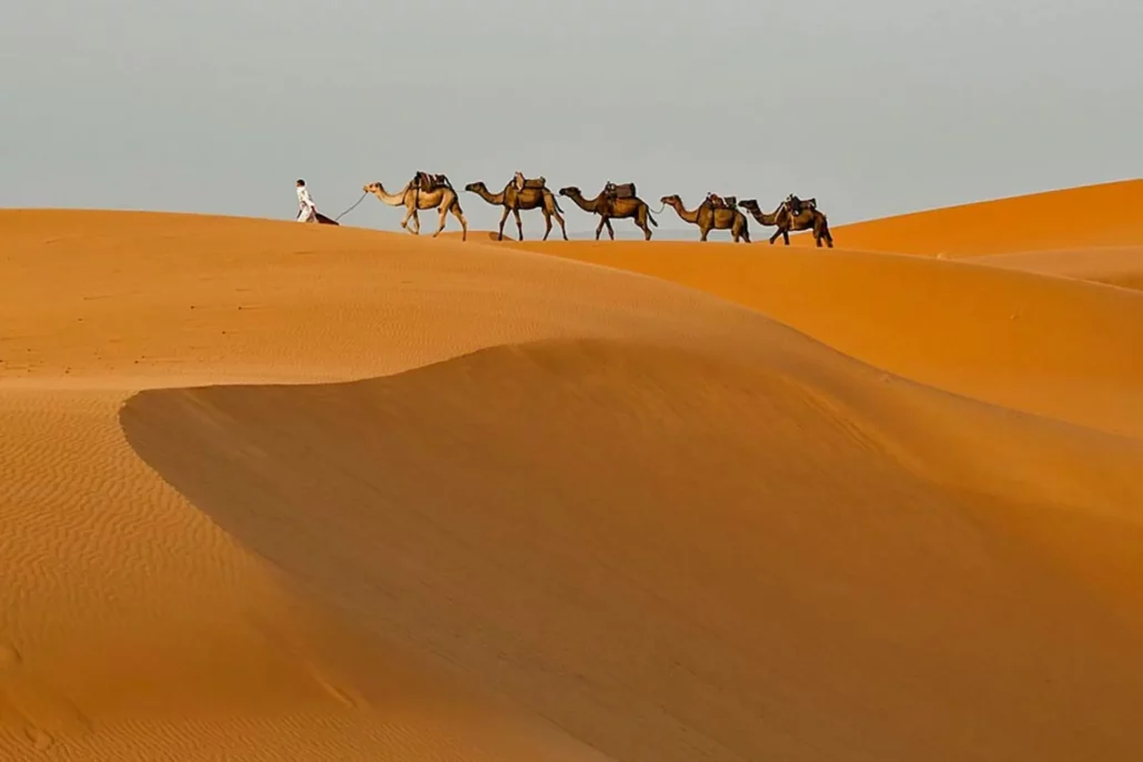 Caravana de camellos por el desierto del Sáhara