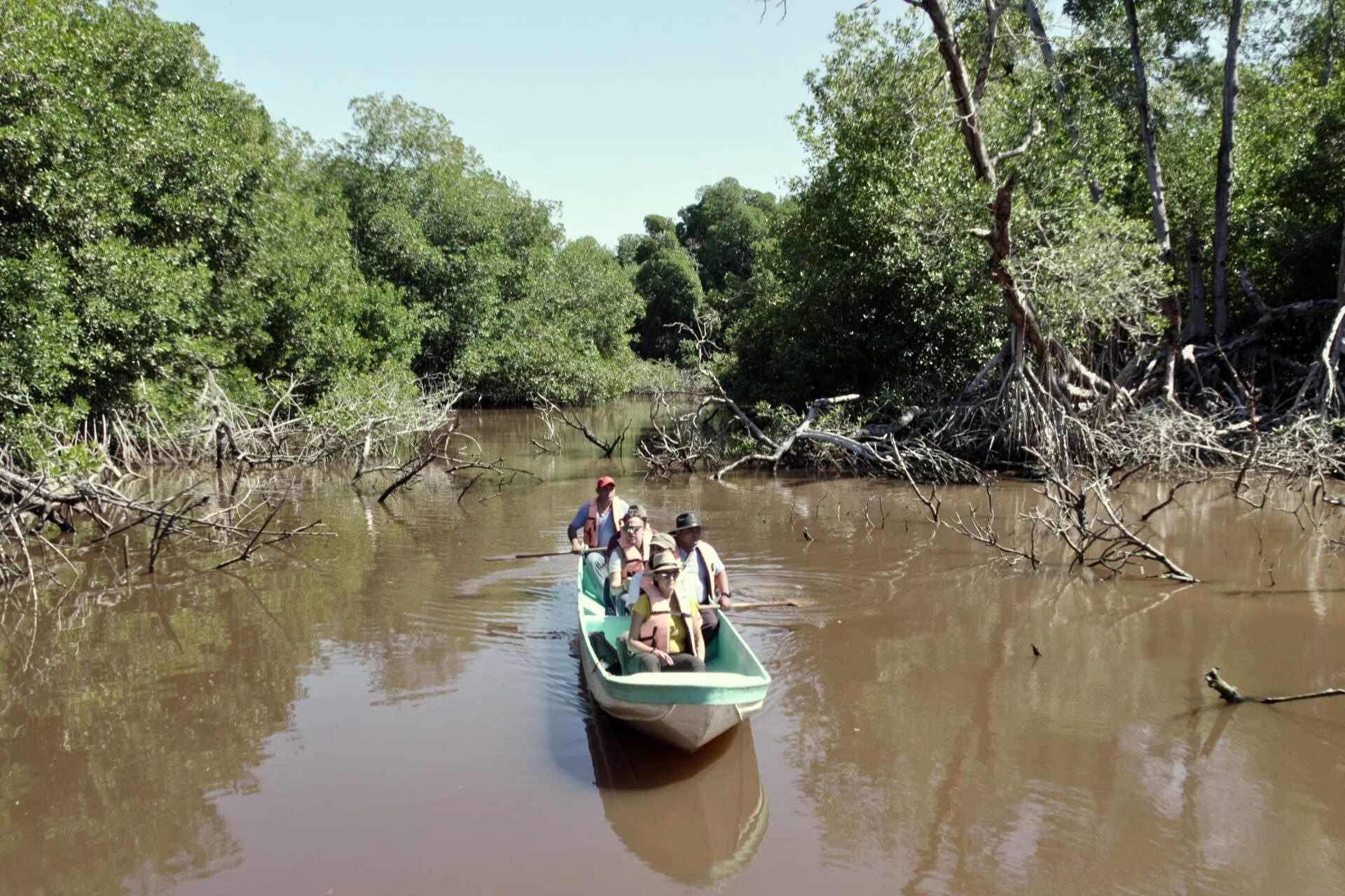 Viajeros montados en canoa navegando por un río rodeado de manglares