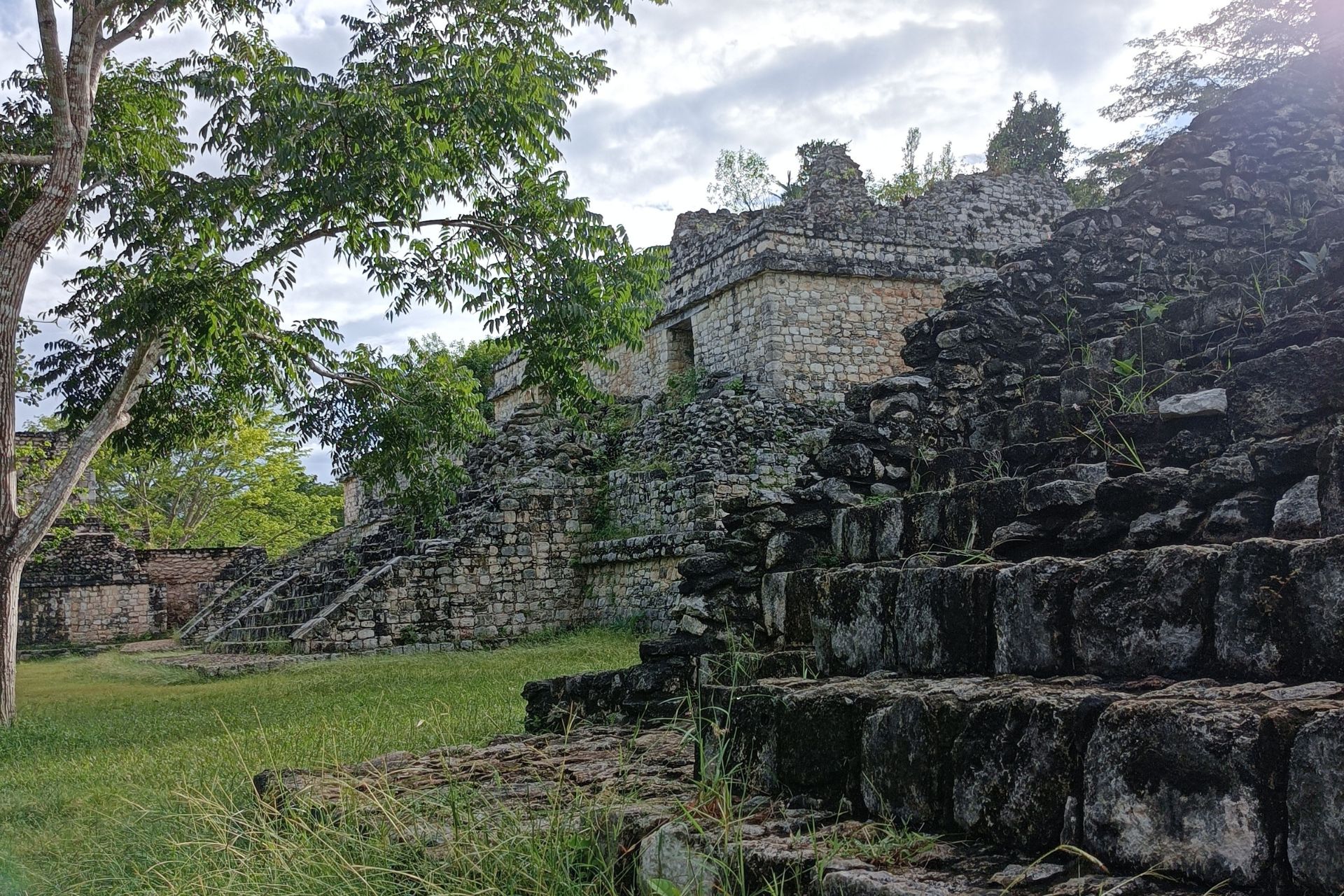 Ruinas mayas rodeadas de vegetación y árboles