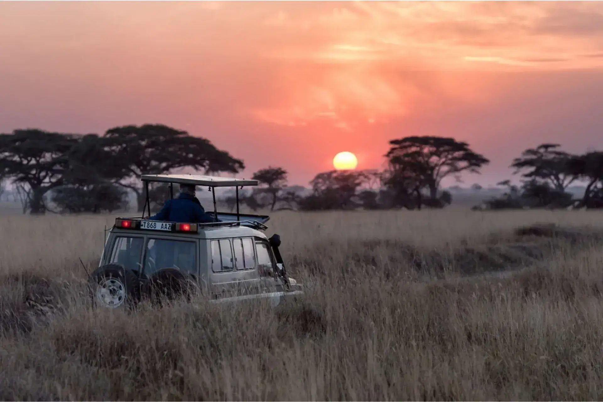 Vehículo de safari conduciendo por el Tarangire