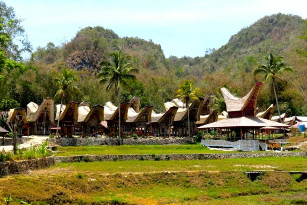 Varias casas marrones de tejado curvado y rodeadas de selva