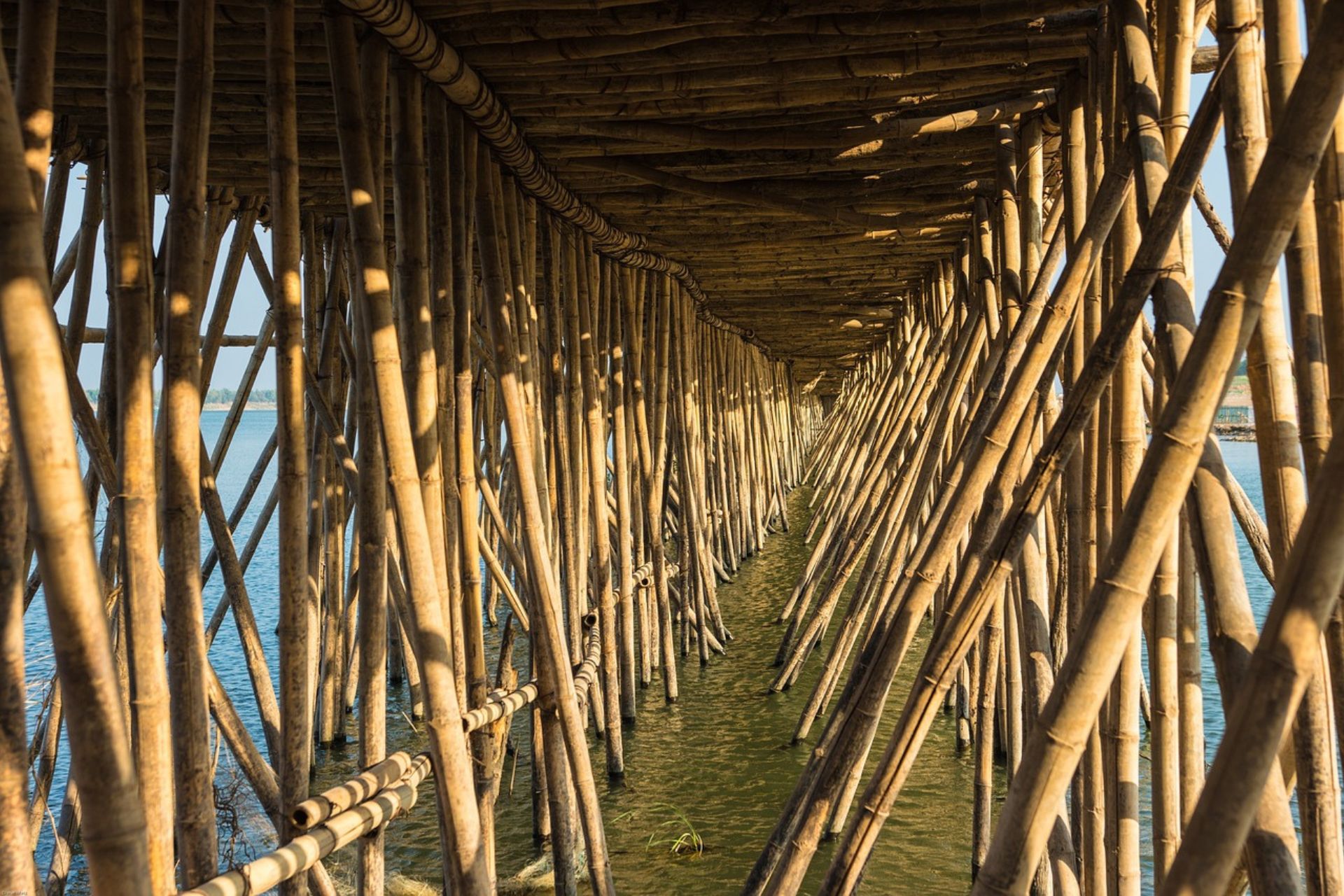 Ramas de bambú cruzadas formando un puente