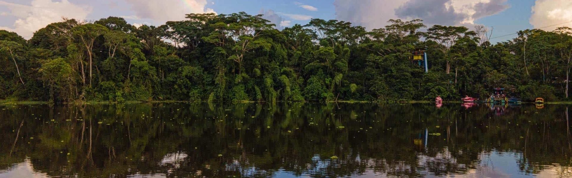 Selva ecuatorial